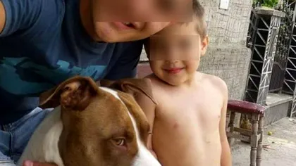 Copil de trei ani, ucis cu sălbăticie de câinii familiei. Ce s-a întâmplât în curtea casei: 