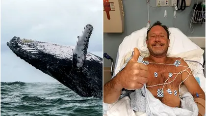 Un scafandru, înghițit de o balenă: ‘Am zis că mor’. Ireal cum s-a salvat