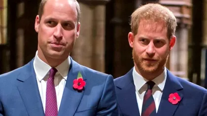 Ce se întâmplă între Harry și William înainte de omagiul Prințesei Diana. S-a aflat abia acum gestul lor