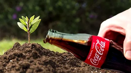 A pus Coca-Cola în pământul din grădină și a lăsat așa 24 de ore. Ce a observat a doua zi de dimineață