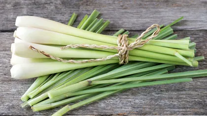 La ce se folosește, de fapt, lemongrass. TOP 8 rețete cu această plantă