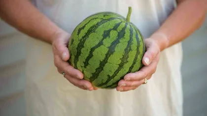 Toți românii trebuie să știe acest truc. Cum îți dai seama că un pepene este copt fără să-i faci dop