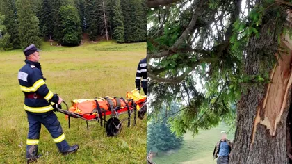 Moarte teribilă provocată de un trăsnet în Neamț. Bărbatul se adăpostise sub un copac
