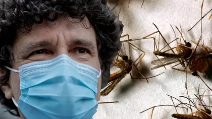 Bucureștenii, în pericol! Nicușor Dan a confirmat existența țânțarilor purtători ai virusului West Nile în Capitală. Autoritățile intervin cu tratamente puternice