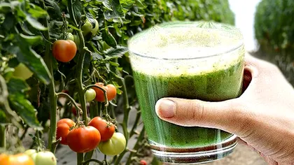 A pus zeamă de urzici peste roșii și nu i-a venit să creadă ce a urmat. Trucul genial pe care nu îl știe lumea