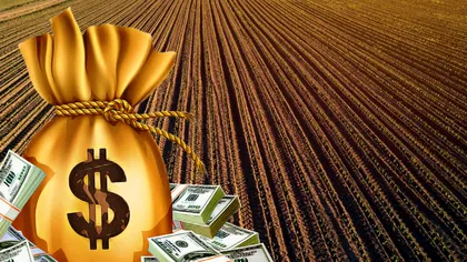 Cel mai scump teren agricol din România. Cu câți bani s-a vândut chiar în acest an