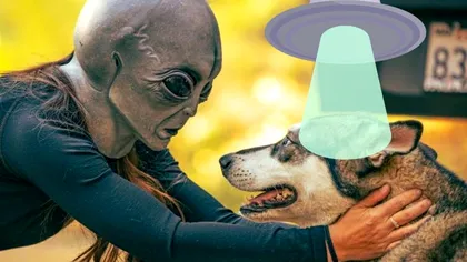 Cele mai ciudate asigurări disponibile pe piață în acest moment. Nici nu știai că există așa ceva!