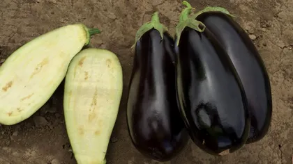 Greșeala pe care o fac românii când gătesc vinete. Doar așa se prepară corect, de fapt VIDEO