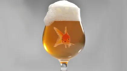 Care este animalul care consumă alcool în fiecare zi. Ce se întâmplă, de fapt