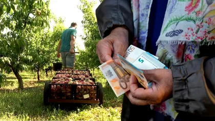 Fructul surpriză pe care românii îl consumă enorm în această vară. Mulți oameni nu au habar de el