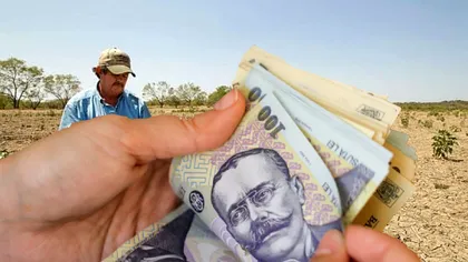 Alimentul românesc care e pe cale de dispariție. Fermierii trag un semnal de alarmă