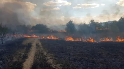 Incendiu masiv în Craiova. 10 hectare de vegetaţie au fost mistuite la hipodrom