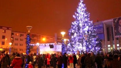 Primăria Bacău, sumă colosală pentru bradul de Crăciun. Cât vor da pe el, în plină pandemie și criză economică