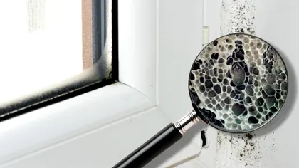 Ți-au mucegăit geamurile în casă? Ingredientul super ieftin care te scapă de problema asta