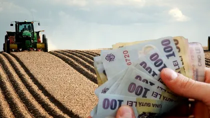 Ce preț infim are un hectar de teren agricol în România. Nu e de mirare că investitorii străini vin aici