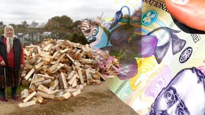 Vești de ultimă oră despre prețul lemnelor. Toți românii care se încălzesc la sobă trebuie să afle