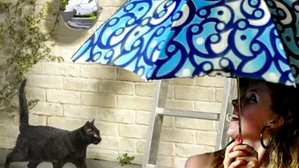 Superstițiile bizare din lume. De ce nu trebuie să deschizi umbrela în casă, de fapt