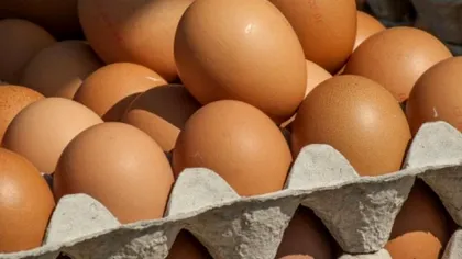 De ce ouăle nu sunt ţinute în frigidere în supermarketuri. Motivul te va uimi cu siguranţă. Nu te-ai fi gândit niciodată