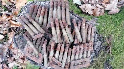 Descoperire de senzație la Sibiu. Cum a găsit un căutător de comori 50 de cartuşe neexplodate din cel de-Al Doilea Război Mondial