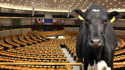 Se dau bani de la stat pentru acești români. Veștile vin direct de la Bruxelles