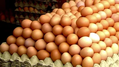 Adevărul despre ouăle pe care românii le cumpără. Tu știi ce mănânci, de fapt?