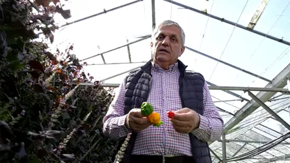 Cum arată ardeiul pe care niciun român nu îl poate gusta. De ce este extrem de periculos