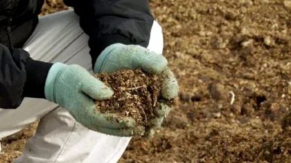 Cel mai bun fertilizant pentru sol. Cu ce trebuie să hrănești pământul toamna, de fapt