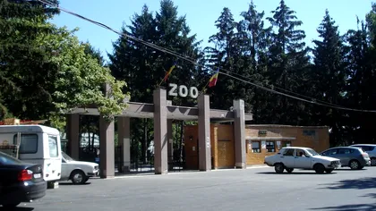 Cele mai frumoase grădini zoologice din România. Unde poți vedea animale deosebite