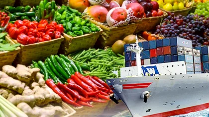 Alimentul cel mai exportat din România. Străinii sunt înnebuniți după el, e record de vânzări