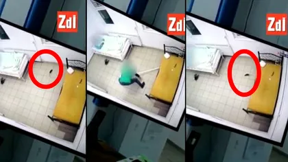 Revoltător! Imagini de groază, surprinse într-un spital din Iași. Un șobolan a fost  filmat în timp ce se plimba printre paturile pacienților. VIDEO
