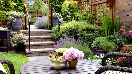 Trucurile geniale pe care le poate face oricine în grădina casei. Schimbarea va fi majoră