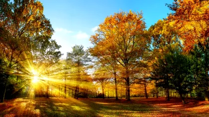 Ultimă oră de la ANM! Vremea se schimbă radical. În ce zonă din țară se vor înregistra chiar și 22 de grade