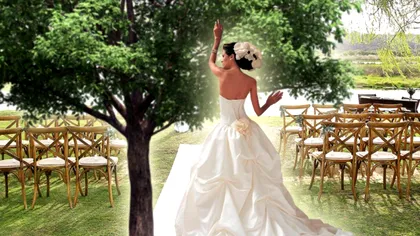 Cele mai bizare obiceiuri de nuntă. Locul unde femeile se pot căsători cu un copac