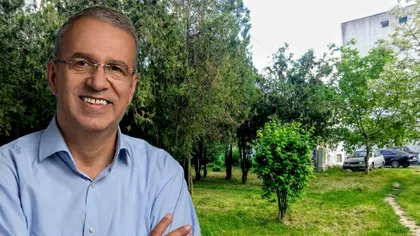 Orașul din România care ar putea pune taxă pentru întreținerea spațiilor verzi. Cine va plăti 50 de lei în plus, pe an