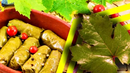 Cum se păstrează corect frunzele de viţă de vie pentru iarnă. Vor fi perfecte pentru sarmale