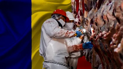 Cum sunt umiliți românii în fabricile din Germania. Dezvăluiri șocante: „Îi auzeam noaptea“