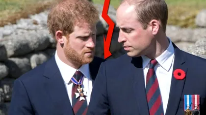 De unde a început conflictul dintre Prințul Harry și Prințul William: ‘Cine naibii te crezi?’