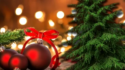 Trucul genial pentru ca bradul să reziste pe toată perioada sărbătorilor. Așa trebuie să procedezi