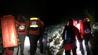 Tragedie uriașă în Harghita. Bărbat, găsit mort într-o cabană după atacul sângeros al unui urs. Descoperirea șocantă a salvamontiștilor