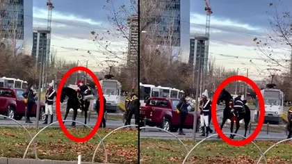 Cum a reușit un jandarm să cadă de pe cal în timpul paradei de 1 Decembrie. Imaginile de Ziua Națională a României au devenit virale. VIDEO