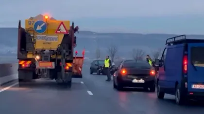 Accident în lanț cu trei mașini pe un drum din Argeș. De vină a fost o vulpe, care a tăiat calea unui șofer
