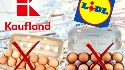 De ce au fost interzise mai multe tipuri de ouă în magazinele Lidl și Kaufland din Germania. Legea care a apărut