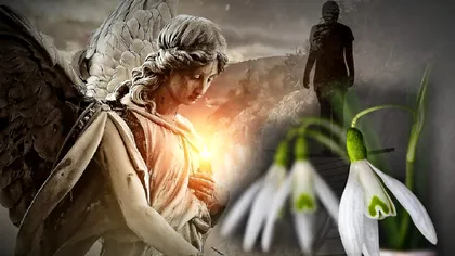 De ce ghioceii sunt asociați cu moartea. Ce legende și mituri există despre vestitorii primăverii