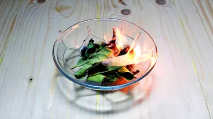 Frunzele pe care trebuie să le arzi în casă. Ce beneficii extraordinare au