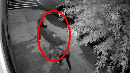 Descoperire macabră a polițiștilor din Ilfov. Trei persoane, suprinse în timp ce transportau cadavrul unei femei înfășurat într-un covor. Ce voiau să facă cu el