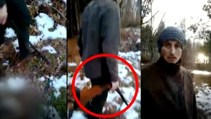 Scene dure filmate în curtea cantonului silvic din Ștei. Câine, împușcat mortal chiar de către un inginer silvic. Reacția bărbatului după ce a fost prins în fapt