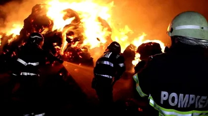 Ultima oră! Incendiu devastator la o hală de mase plastice de lângă București. Peste 20 de autospeciale de stingere au intervenit de urgență