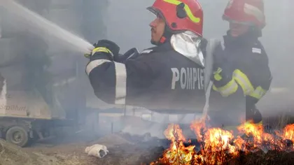 Incendiu de proporții în Botoșani. Un adăpost de animale și alte clădiri au ars din temelii VIDEO