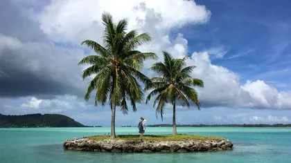 Cum reușește un bărbat să trăiască pe o insuliță. Care e singura sursă de venit, dar și de hrană