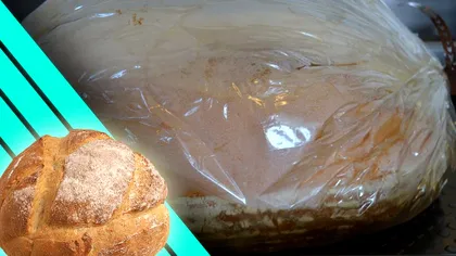 Pâinea de casă coaptă în pungă. Cum o pregătești, trucul știut de puține gospodine